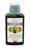Easy-Life BLU0250 Blue Exit Tratamiento contra cianobacterias en Acuarios de Agua Dulce, 250ml