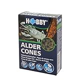 Hobby 51115 Alder Cones - Conos de Aliso