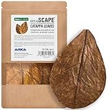 Hojas catappa Acuario – ARKA mySCAPE 10 uds (8–12 cm) – acondicionador Natural del Agua...