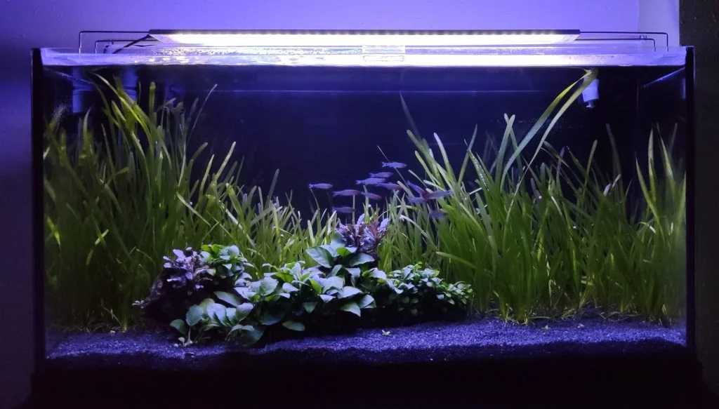 Luz de luna para acuario