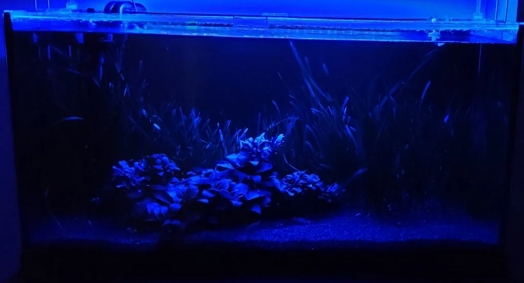 Luz de luna para acuario