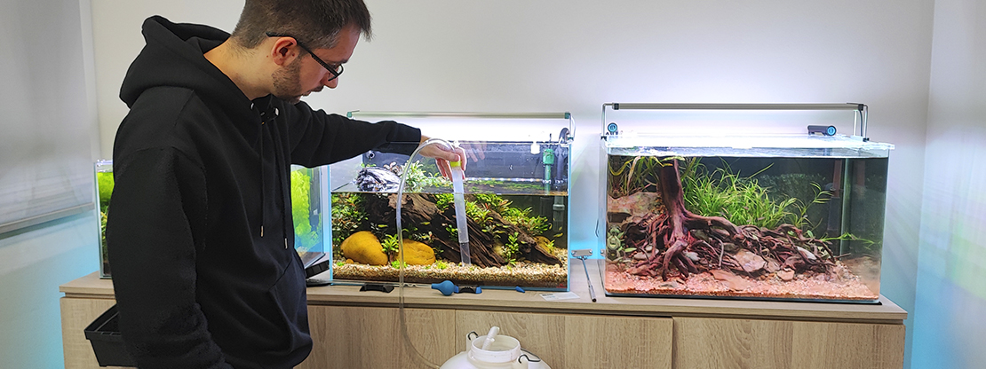 Cambios de agua en el acuario